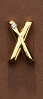 Letter for Personalizing Collar or Handcuffs Upko Letter X UPKO