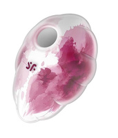 Clitoral Stimulator Cloud Dancer Red Print Satisfyer