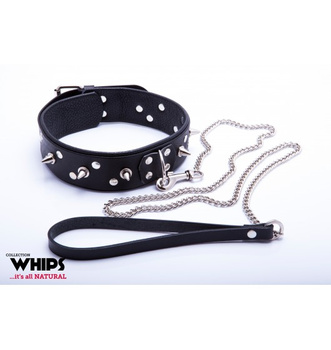 Whips Men's collar with a leash