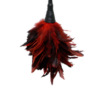 Pipedream Fetish Fantasy Series Frisky Feather Duster Red