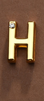 Letter for Personalizing Collar or Handcuffs Upko Letter H UPKO