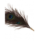 Taboom Dona Peacock Tickler