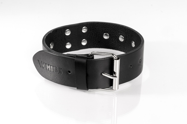 Obroża z ćwiekami czarna S Primal Bond Whips