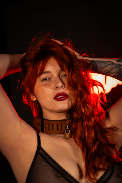 Нашийник з замком коричневий S Primal Bond Whips