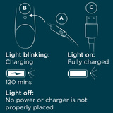 Вібратор-кролик Pulse Romp