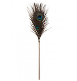 Taboom Dona Peacock Tickler