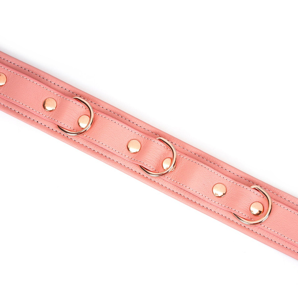 Obróżka Ze Smyczą Pink Dream Collar With Leash Liebe Seele