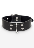 Нашийник Elegant D-Ring Collar Black Taboom