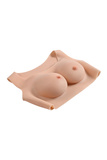 Gender X Undergarments Plate C-Cup Light