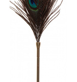 Pawie Piórko Dona Peacock Tickler Taboom