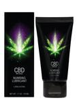 Shots CBD Numbing Lubricant 50 ml