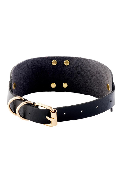 KINKY DIVA O-RING COLLAR BLACK/GOLD