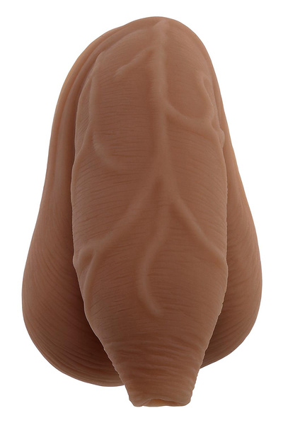 Фантом Члена The Uncircumcised Packer Dark Gender X