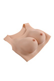 Gender X Undergarments Plate D-Cup Light 