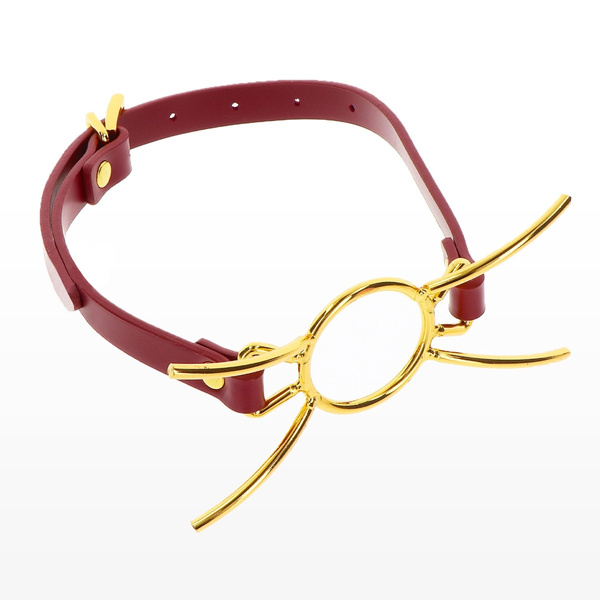 Knebel Open Mouth Spider Gag Taboom