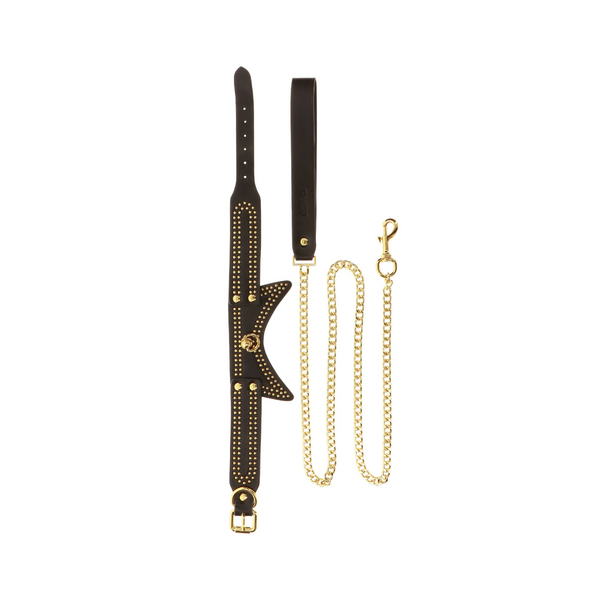 Obróżka Ze Smyczą Vogue Studded Collar And Leash Taboom