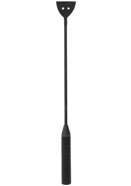 Extreme Electro Riding Crop Hidden Desire