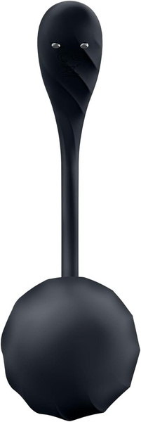 Ribbed Petal black Connect App Satisfyer