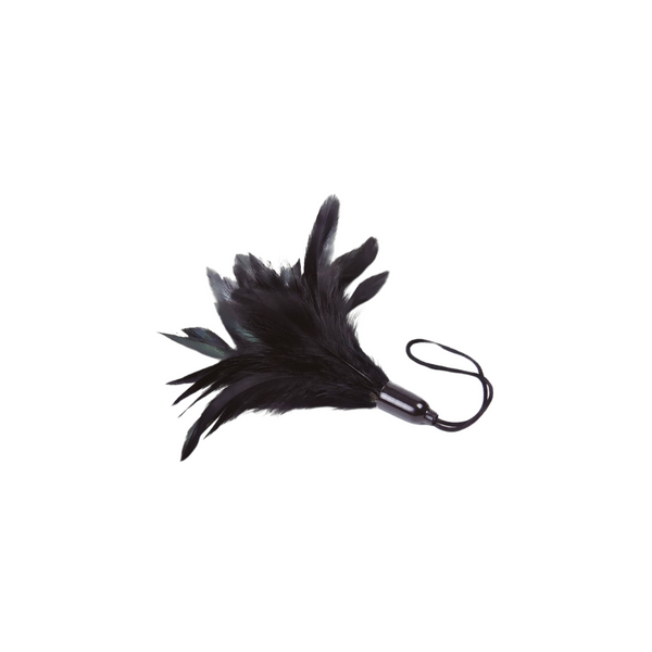 Adrien Lastic  Feather Tickler Black