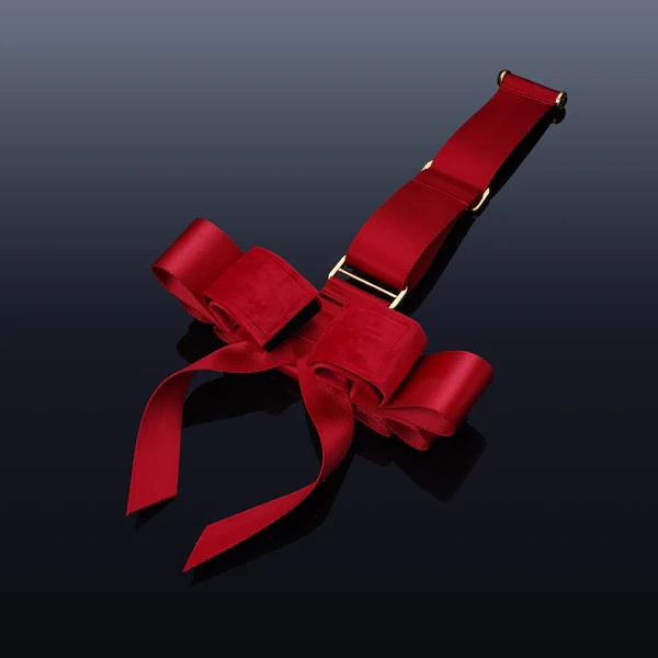 Upko Portable Bowknot Over-the-door Hand Restraint Gear