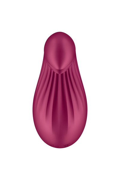 Clitoral stimulator Dipping Delight Berry Satisfyer