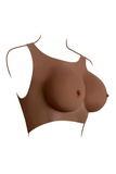 Gender X Undergarments Plate C-Cup Dark