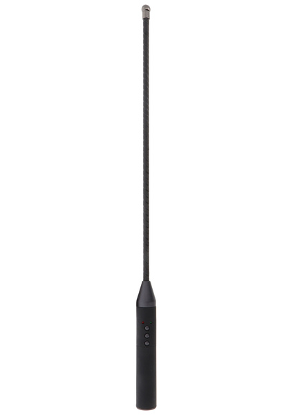 Extreme Electro Cane Hidden Desire
