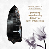 Korek Analny Z Czarnym Obsydiadem Butt Plug Black Obsidian La Gemmes