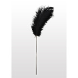 Piórko Do Łaskotania Feather Tickler Taboom