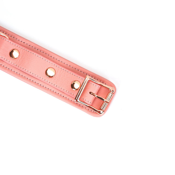 Liebe Seele Pink Dream Collar with Leash