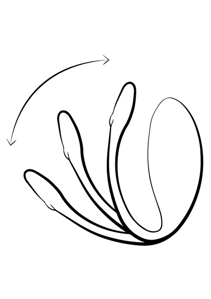 Вібруюче яйце Jive Синє We-Vibe