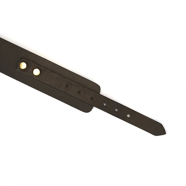 Нашийник зі шлеєю Samurai Collar And Leash Liebe Seele