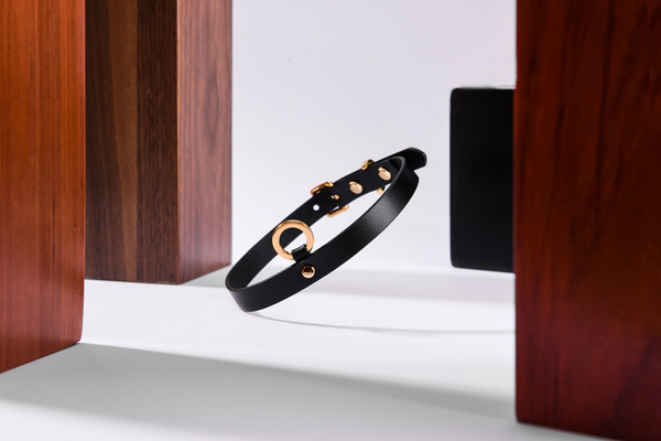 Ніжний Шкіряний Нашийник Upko Leather Thin Choker UPKO