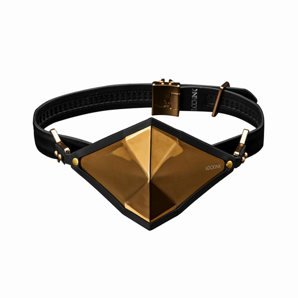 Кляп Golden Punker Muzzle Gag Set Gold LOCKINK