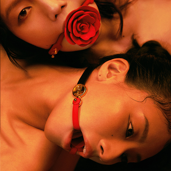 Невидимий Кляп Розширювач Upko Invisible Mouth Gag Black Straps UPKO