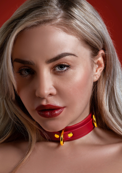 Wegańska Obroża D-Ring Collar Deluxe Taboom