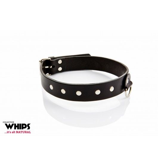 Whips Classic men's collar