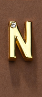 Litera Do Personalizacji Obróżki Lub Kajdanek Upko Letter N UPKO