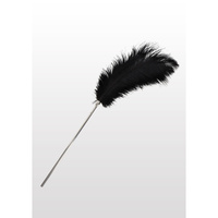Piórko Do Łaskotania Feather Tickler Taboom