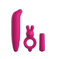 Zestaw Wibratorów Dla Par Couples Vibrating Starter Kit Pipedream