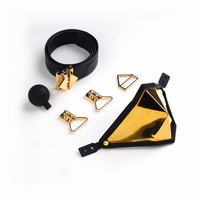 Knebel Golden Punker Muzzle Gag Set Gold LOCKINK