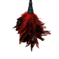 Пір'я для лоскотання Fetish Fantasy Frisky Feather Duster Red Pipedream