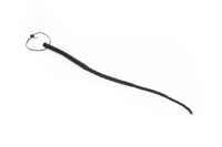 Свинячий хвіст Primal Bond Whips
