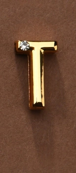 Літера Для Персоналізації Нашийника Або Наручників Upko Letter T UPKO